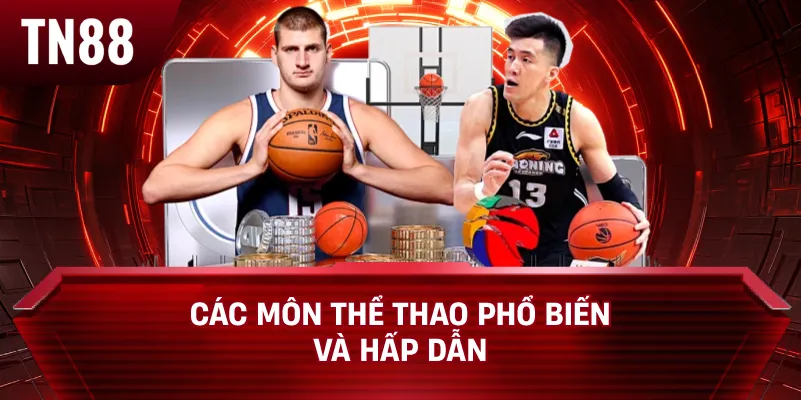 Các Môn Thể Thao Phổ Biến và Hấp Dẫn